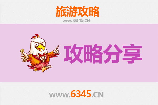 徐州丰县旅游攻略：跟团与自由行深度对比
